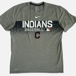 Men's Cleveland Indians Nike Gray Authentic Collection Dri-Fit Tee Large